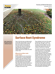 Surface Root Syndrome