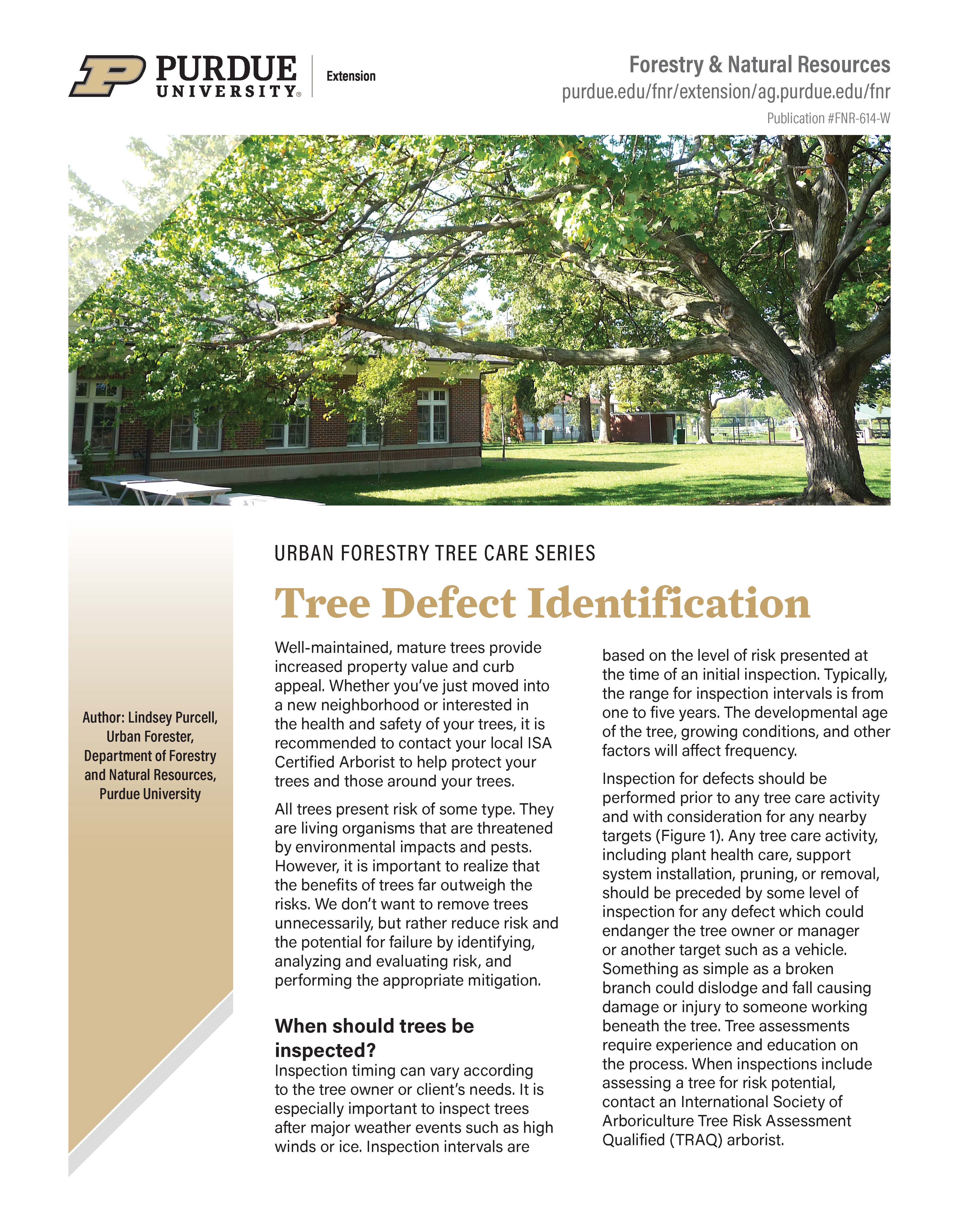 Tree Defect Identification