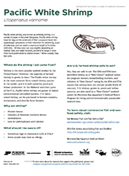 Pacific White Shrimp Farmed Fish Fact Sheet