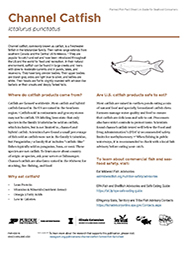 Channel Catfish Farmed Fish Fact Sheet