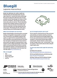 Bluegill Farmed Fish Fact Sheet