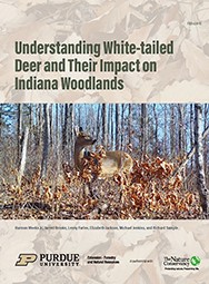 Understanding White-tailed Deer and Their Impact on Indiana Woodlands