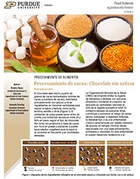 Procesamiento de cacao: Chocolate sin azúcar