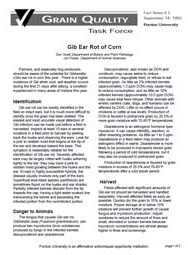 Gib Ear Rot of Corn
