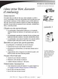 Have a Healthy Baby curriculum (Spanish)