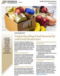 Understanding Food Insecurity and Food Resources