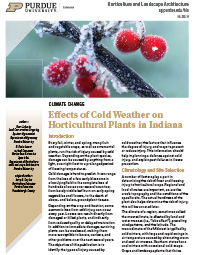 Effects of Cold Weather on Horticultural Plants in Indiana
