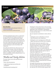 Grape Varieties for Indiana