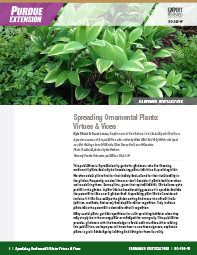 Consumer Horticulture: Spreading Ornamental Plants: Virtues & Vices