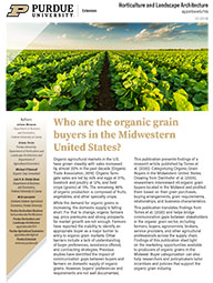 Who are the organic grain buyers in the Midwestern United States?