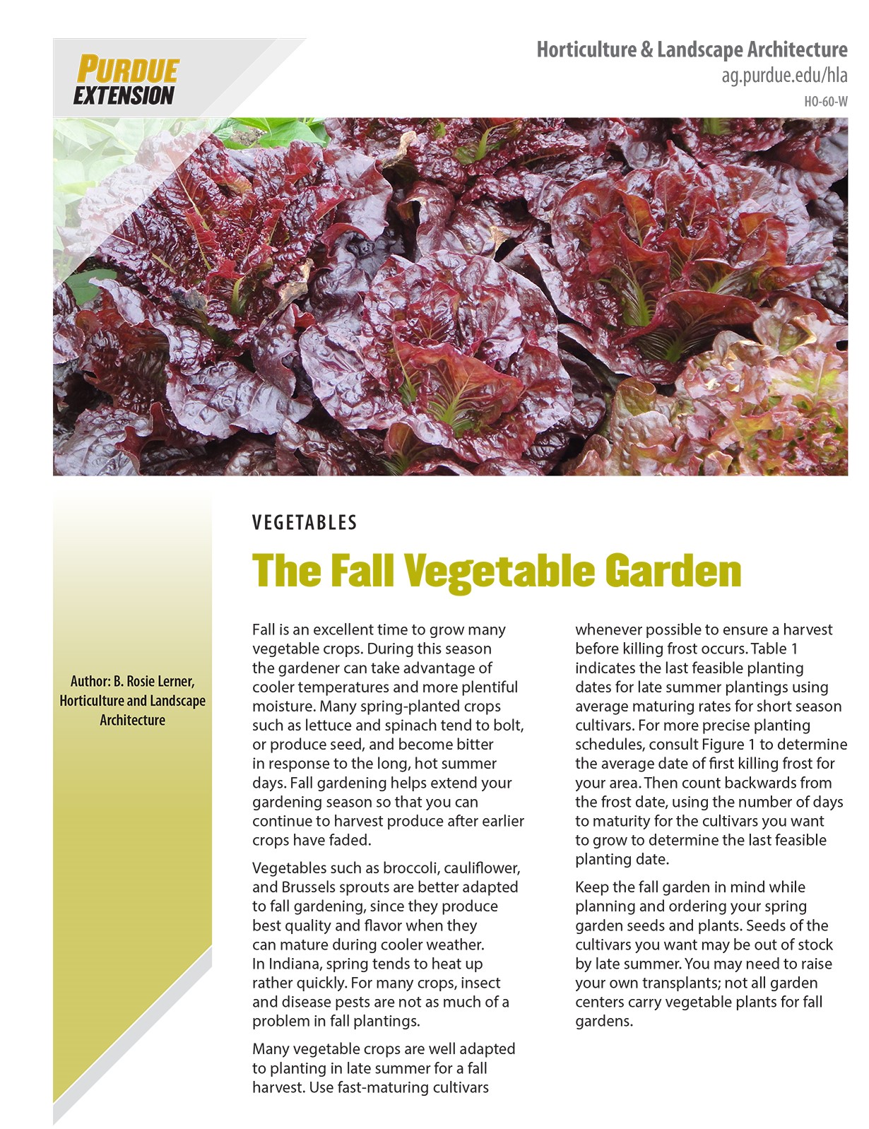The Fall Vegetable Garden