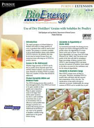 Use of Dry Distillers' Grains with Solubles by Poultry