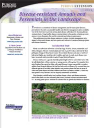 Disease Resistant Annuals and Perennials in the Landscape