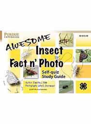 Awesome Insect Fact n' Photo Self-Quiz Digital Study Guide