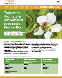 Protecting Pollinators: Protecting Pollinators in Fruit and Vegetable Production