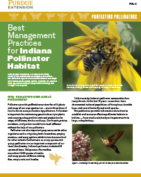 Protecting Pollinators: Best Management Practices for Indiana Pollinator Habitat