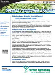 Soybean Production Systems: Thin Soybean Stands: Should I Replant, Fill In, or Leave Them Alone?