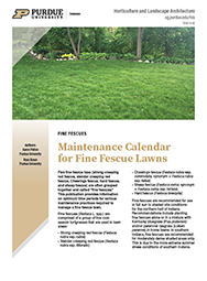 Maintenance Calendar for Fine Fescue Lawns