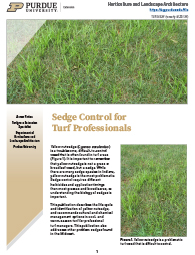 Turfgrass Management: Sedge Control for Turf Professionals 