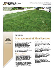 Fine Fescues - Management of Fine Fescues