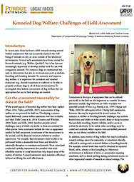 Kenneled Dog Welfare: Challenges of Field Assessment