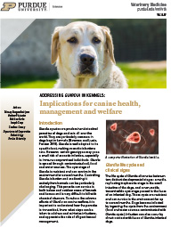 Addressing Giardia in Kennels: Implications for canine health, management and welfare