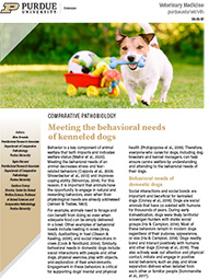 Meeting the behavioral needs of kenneled dogs