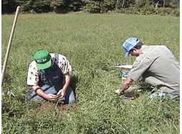 On-Farm Soil Monitoring for Water Resource Protection