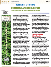 Terminating Cover Crops: Successful Annual Ryegrass Termination with Herbicides
